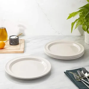 Plato Principal